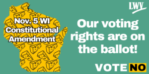 November 2024 Constitutional Amendment League of Women Voters