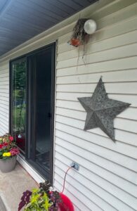 The Backyard Incident